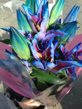 I gave my Mum blue flowers for her birthday